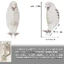 1000047193.webp